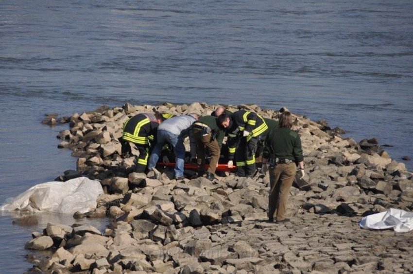 Einsatz BF Koeln Person im Rhein Rheinkassel P27.jpg